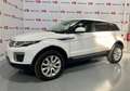 Land Rover Range Rover Evoque 2.0TD4 Pure 4WD 150 Wit - thumbnail 1