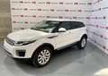 Land Rover Range Rover Evoque 2.0TD4 Pure 4WD 150 Bianco - thumbnail 15