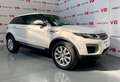 Land Rover Range Rover Evoque 2.0TD4 Pure 4WD 150 Wit - thumbnail 5