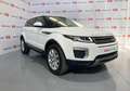 Land Rover Range Rover Evoque 2.0TD4 Pure 4WD 150 Bianco - thumbnail 12