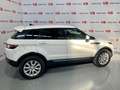 Land Rover Range Rover Evoque 2.0TD4 Pure 4WD 150 Wit - thumbnail 6