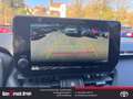 Toyota RAV 4 Teamplayer 2.5 VVT-i -EU6e Plug-in Hybrid 4x4 Team Weiß - thumbnail 16