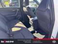 Toyota RAV 4 Teamplayer 2.5 VVT-i -EU6e Plug-in Hybrid 4x4 Team Weiß - thumbnail 12