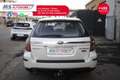 Subaru OUTBACK SUBARU AOUTBACK 2.0D 16V AQ Unicoproprietario Weiß - thumbnail 7