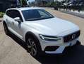 Volvo V60 Cross Country V60 II 2023 Cross Country 2.0 b4 Core awd auto Blanco - thumbnail 3