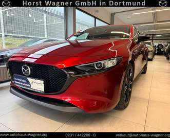 Homura 186 PS *Premium-Paket*Navi*Kamera*Bose*