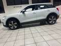 Audi Q2 30tdi DESIGN  2019 ex signora sessantenne Weiß - thumbnail 7