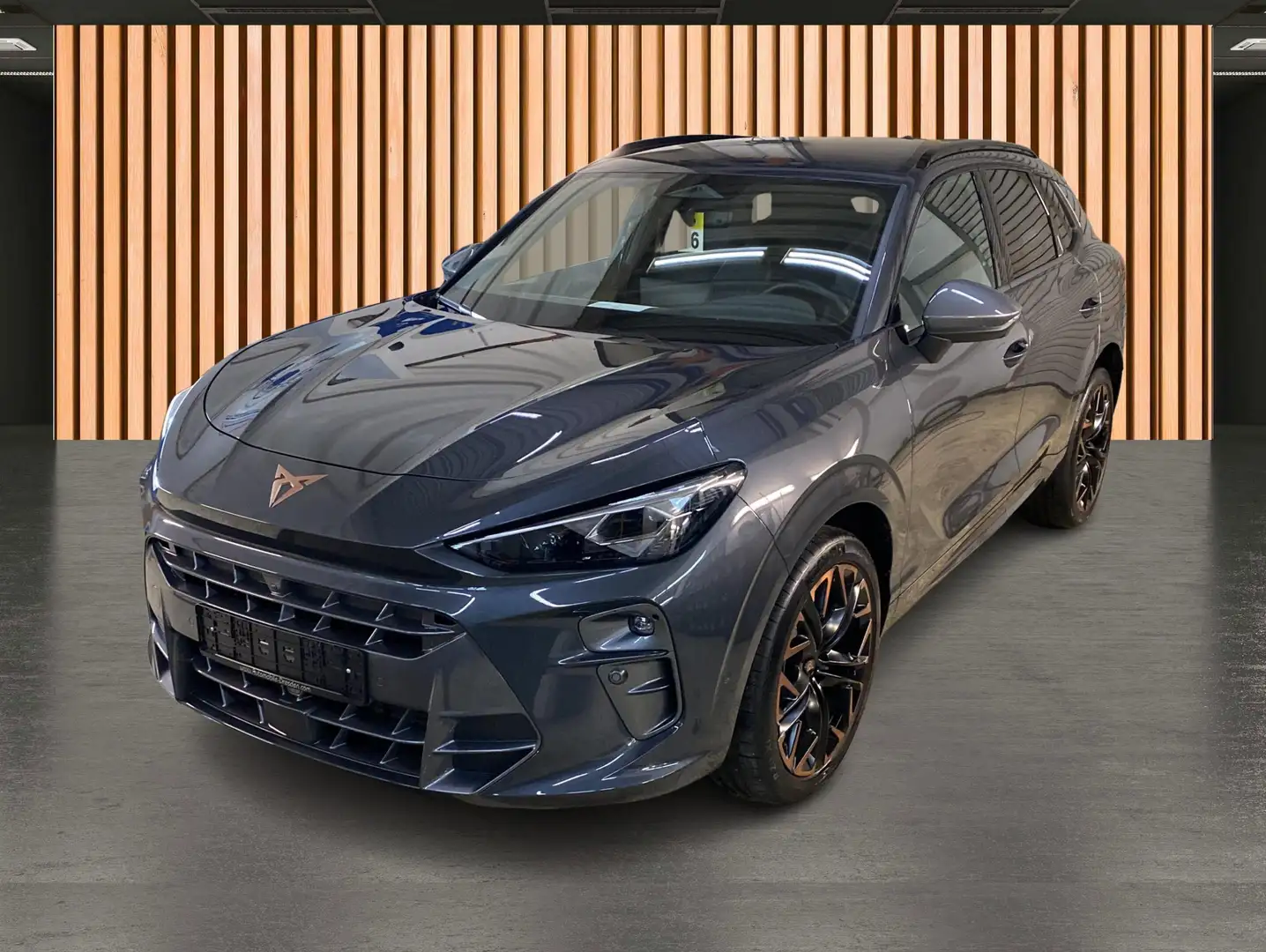 CUPRA Terramar 2.0 TSI 4Drive VZ*DCC*Navi* Gris - 2