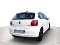 Volkswagen Polo 5p 1.2 TDI Comfortline Blanc - thumbnail 6