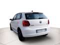 Volkswagen Polo 5p 1.2 TDI Comfortline Blanc - thumbnail 5