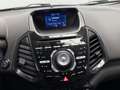 Ford EcoSport 1.0 EcoBoost Titanium | Leer | Schuifdak | 1e Eige Zwart - thumbnail 21