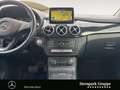 Mercedes-Benz B 220 B 220 4M Urban +AHK+Leder+LED+Soundsys+Keyless+ Blau - thumbnail 11