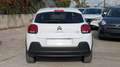 Citroen C3 ORIGIN 1.2cc PURETECH 110cv LANE ALERT NAVI Bianco - thumbnail 14