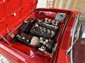 Alfa Romeo 2000 Berlina Piros - thumbnail 6
