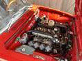 Alfa Romeo 2000 Berlina Piros - thumbnail 5