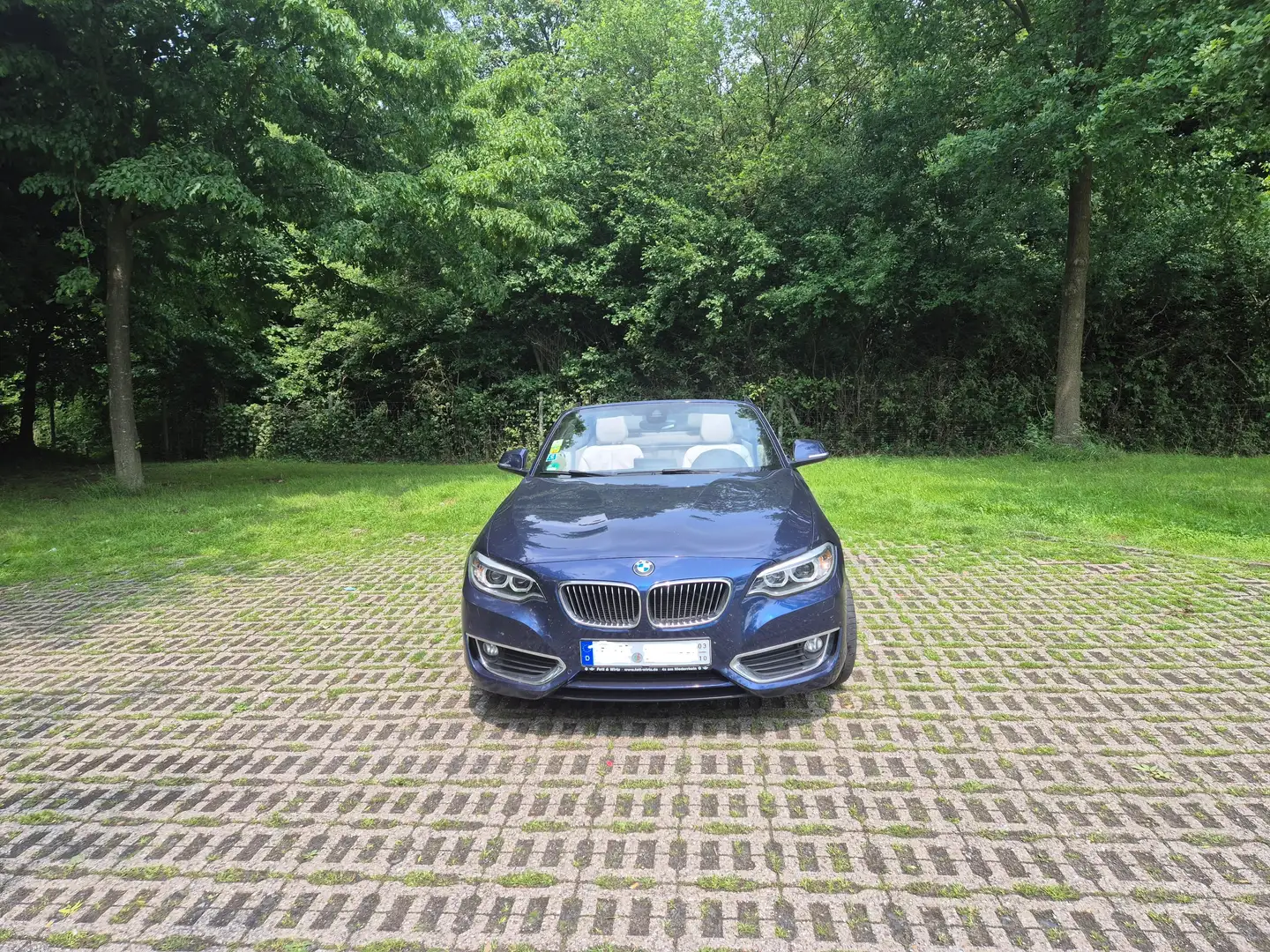 BMW 225 225d Cabrio Sport-Aut. Luxury Line Синий - 2