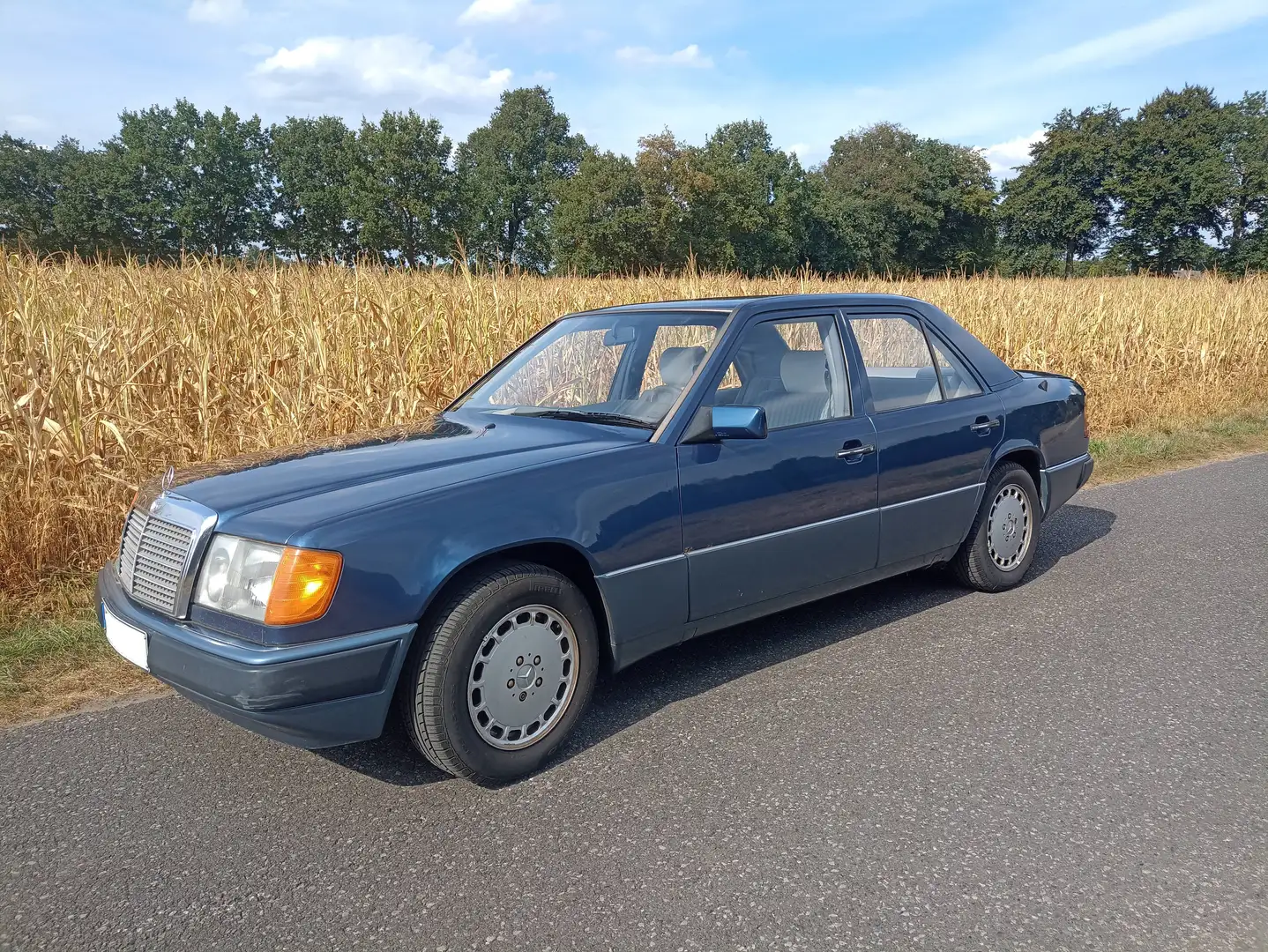 Mercedes-Benz E 260 260 E 4Matic Modrá - 1