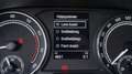 Skoda Fabia 1.0 TSI 95 pk Camera Carplay Pdc 12m Garantie Argent - thumbnail 14