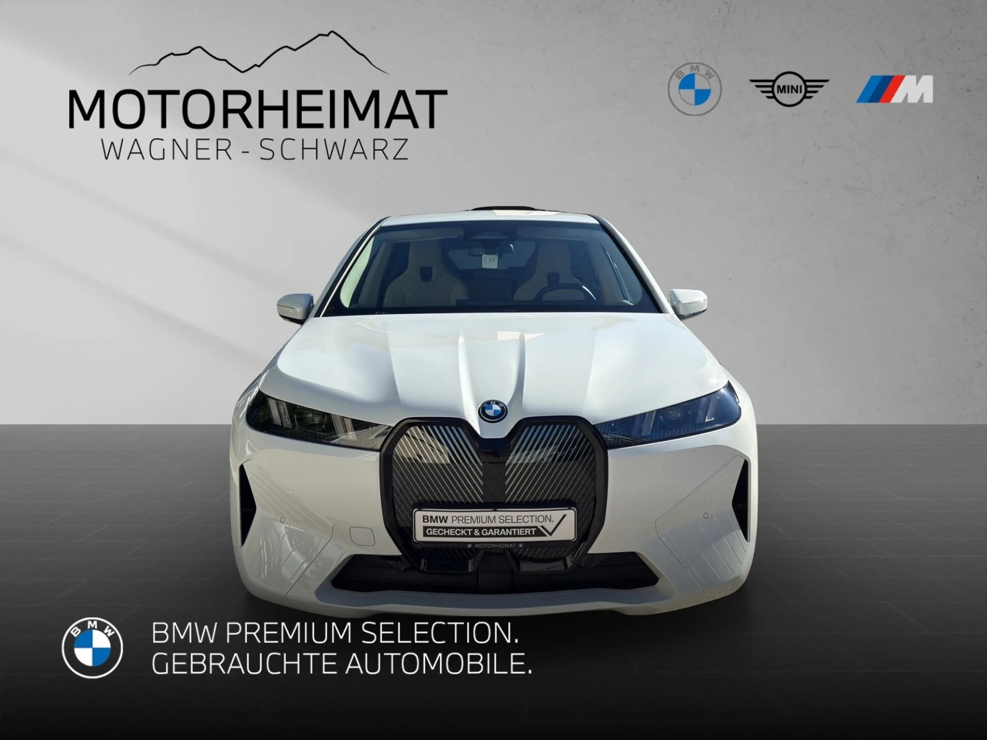 BMW iX xDrive45 ACC 0,25% DW-Versteuerung 0,99% Finanz — photo 3