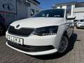 Skoda Fabia FABIA LED KLIMA 1.HAND Tüv-07-2027 ALU Euro6 Blanc - thumbnail 11
