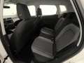 SEAT Arona 1.0 TSI Ecomotive S&S Style 115 Blanc - thumbnail 16