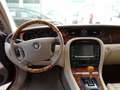 Jaguar XJ XJ-8 4.2 V8 Executive Aut. Burdeos - thumbnail 7