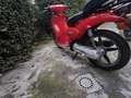Aprilia Scarabeo Rosso - thumbnail 7