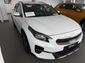 Kia XCeed 1.5 MHEV Drive Blanco - thumbnail 3
