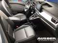 Nissan Townstar Kombi L1 Tekna Rollstuhlumbau sofort verfügbar! Gris - thumbnail 14