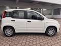 Fiat Panda 1.0 Hybrid PDC KLIMA SPURHALTEASS. Wit - thumbnail 9