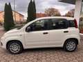 Fiat Panda 1.0 Hybrid PDC KLIMA SPURHALTEASS. Wit - thumbnail 7