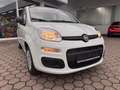 Fiat Panda 1.0 Hybrid PDC KLIMA SPURHALTEASS. Wit - thumbnail 12