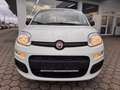 Fiat Panda 1.0 Hybrid PDC KLIMA SPURHALTEASS. Wit - thumbnail 11