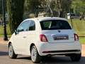 Fiat 500 Club 1.0 Hybrid 51KW 70 CV Blanco - thumbnail 5