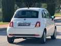 Fiat 500 Club 1.0 Hybrid 51KW 70 CV Blanco - thumbnail 8