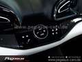 Ferrari Purosangue 2025 CARBON*360°*PANORAMA*LIFT*23" Zwart - thumbnail 41