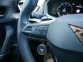 CUPRA Formentor 2.0 TSI VZ 4Drive BEATS MATT PANO A Grau - thumbnail 18