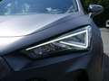 CUPRA Formentor 2.0 TSI VZ 4Drive BEATS MATT PANO A Grau - thumbnail 26