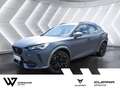 CUPRA Formentor 2.0 TSI VZ 4Drive BEATS MATT PANO A Grau - thumbnail 1