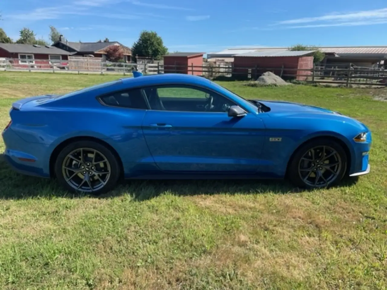 Ford Mustang снимка Ford Mustang