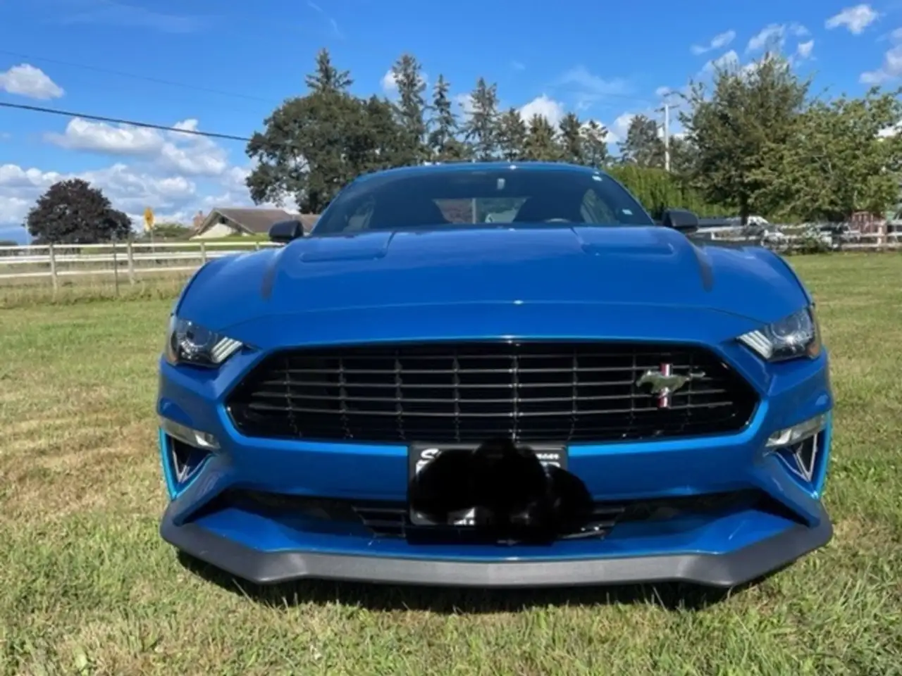 Ford Mustang снимка Ford Mustang