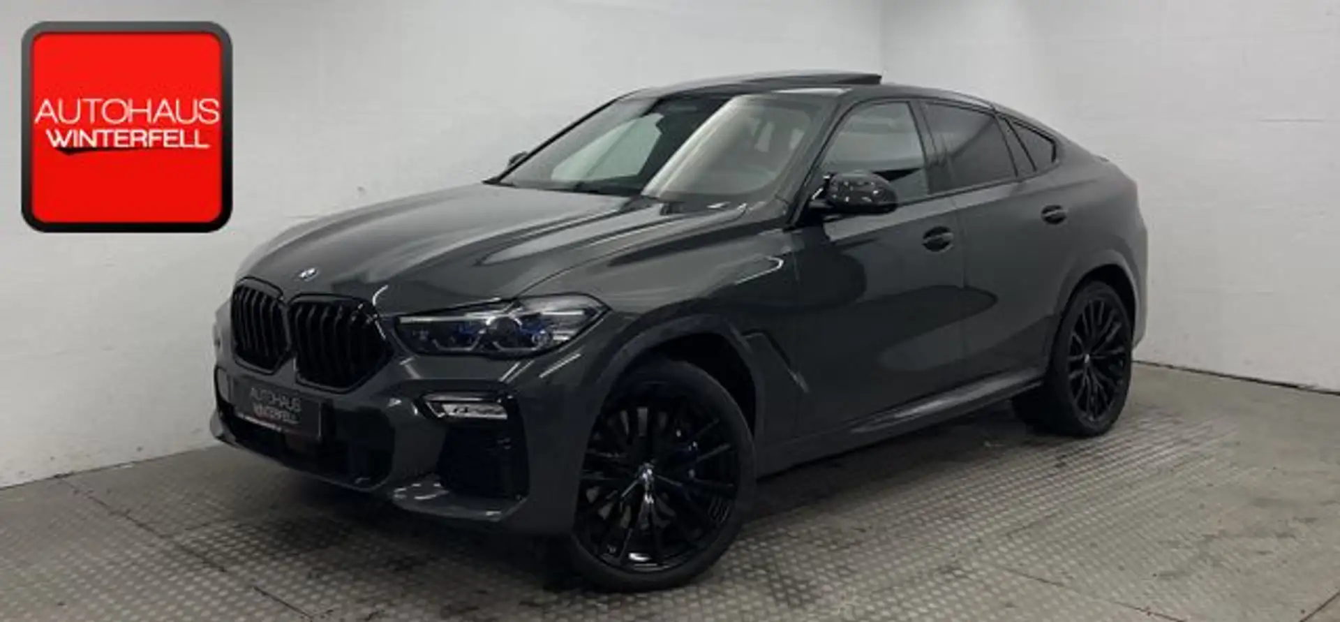 BMW X6 xDrive 40d M SPORT PANO-SKY+22Z+360+MASSAGE+ Gris - 1