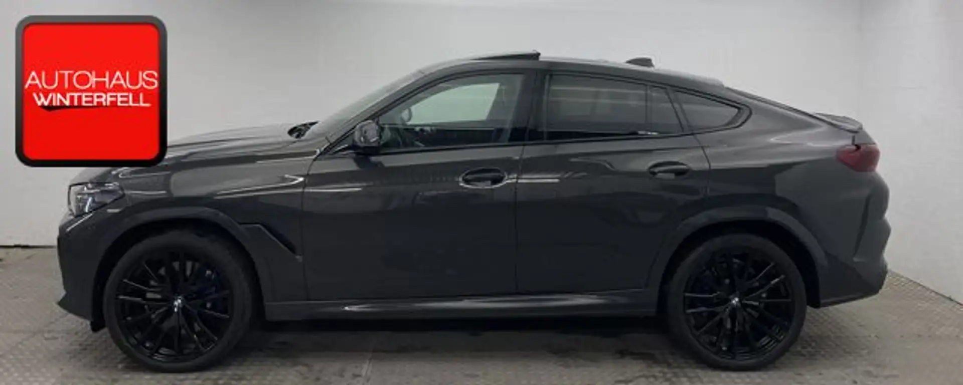BMW X6 xDrive 40d M SPORT PANO-SKY+22Z+360+MASSAGE+ Серый - 2