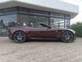 Aston Martin DBS Superleggera Volante Divine Red Roşu - thumbnail 6