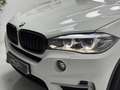 BMW X5 xDrive 30dA Blanco - thumbnail 3