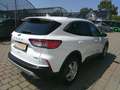 Ford Kuga 2,5 Duratec FHEV Titanium Aut. Weiß - thumbnail 3