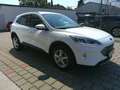 Ford Kuga 2,5 Duratec FHEV Titanium Aut. Weiß - thumbnail 8