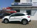Ford Kuga 2,5 Duratec FHEV Titanium Aut. Weiß - thumbnail 2