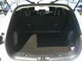 Ford Kuga 2,5 Duratec FHEV Titanium Aut. Weiß - thumbnail 5