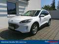 Ford Kuga 2,5 Duratec FHEV Titanium Aut. Weiß - thumbnail 1